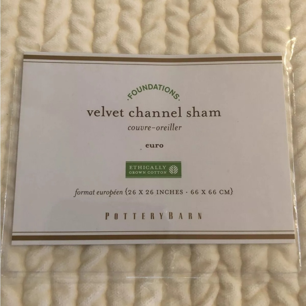 Pottery Barn Velvet Channel Euro Shams Ivory